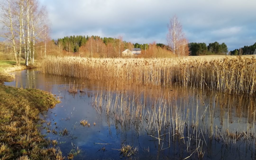 Paikalliset aktivoituneet Salajärven-Ruuhijärven vedennostohankkeen edistämisessä
