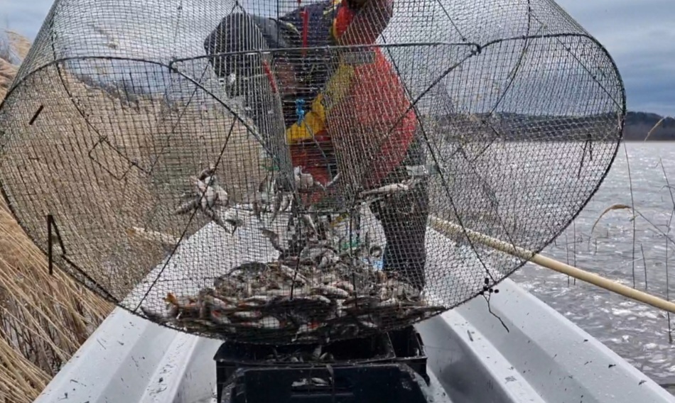 Kutajärven hoitokalastukset käynnistyneet